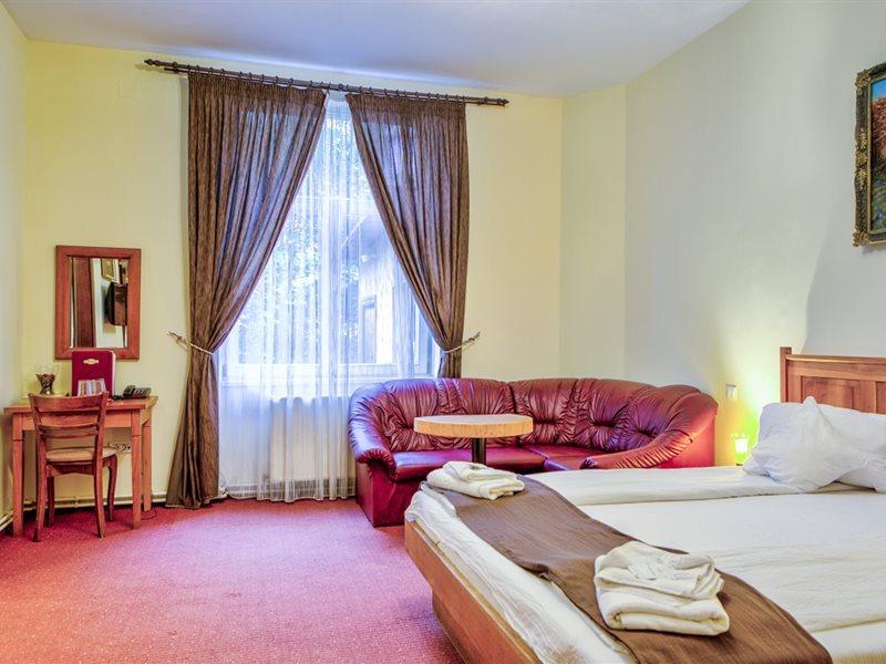 Pensiune Ambient 3*