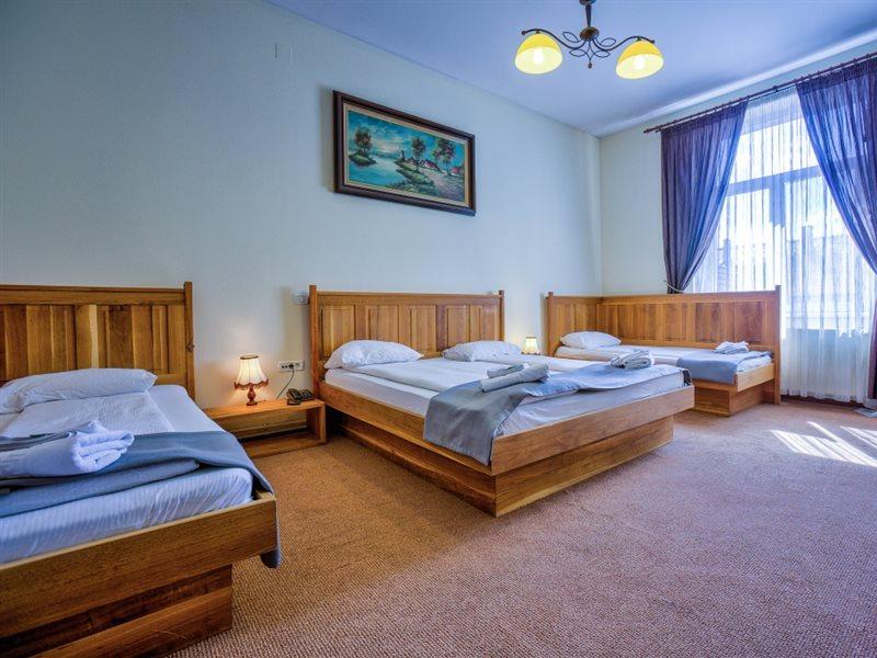 Ambient Pensiune 3*